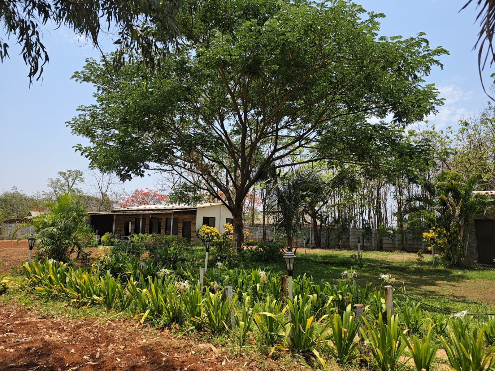 Scenic nature view from LakesideMantra resort