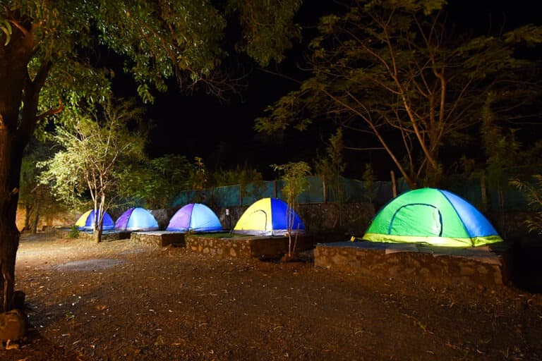 Tent Camping - 2/3 Person Capacity