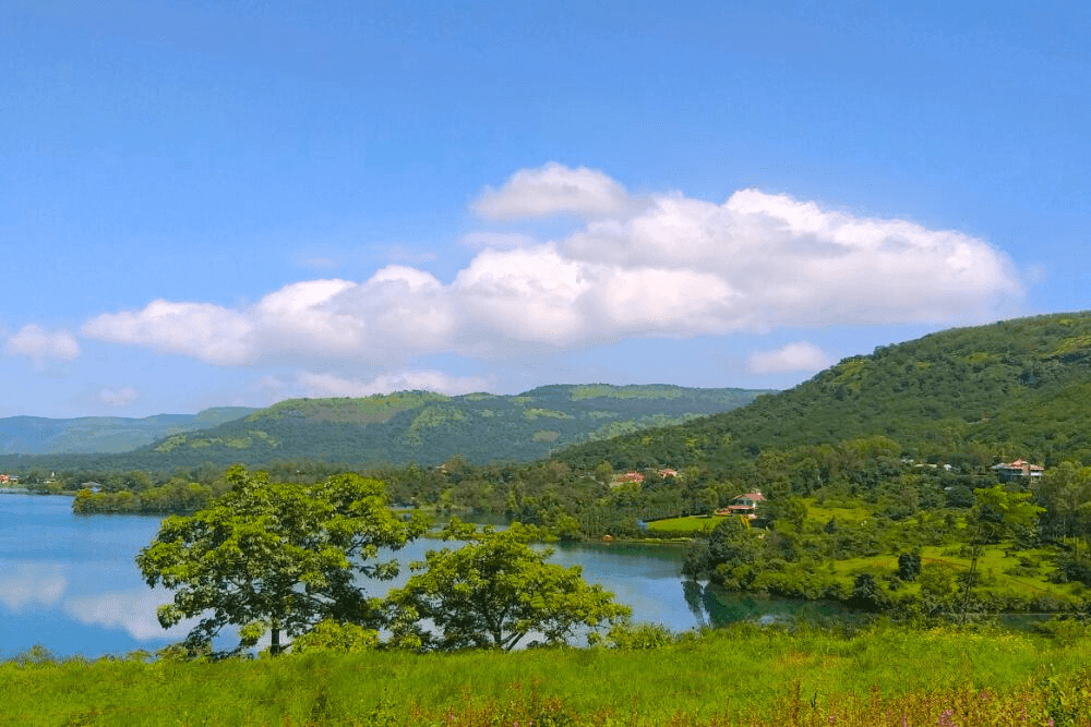 Guests Enjoying Dining
